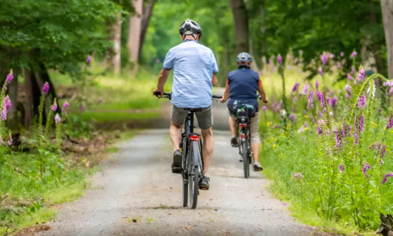Older couple cycling on a path in the woods, with purple flowers lining the path.