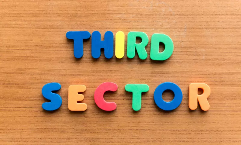 Words 'third sector' written in colourful plastic letters on a wooden background.